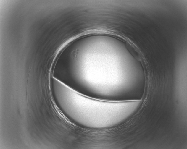 X0000086251238200703291027