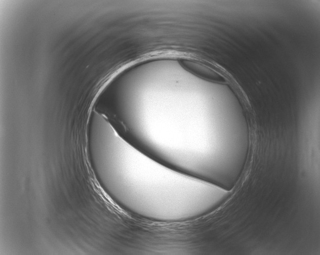 X0000086251244200703291027