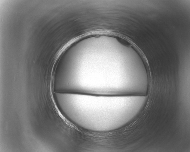 X0000086251245200703291027