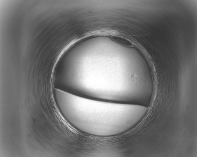 X0000086251248200703291027