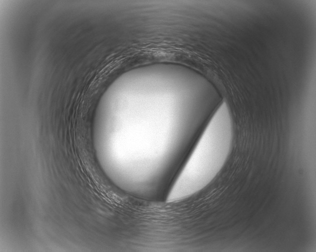 X0000086251249200703291026