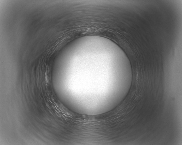 X0000086251250200703291026