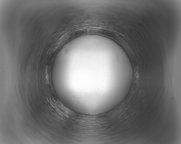 X0000086251252200703291026