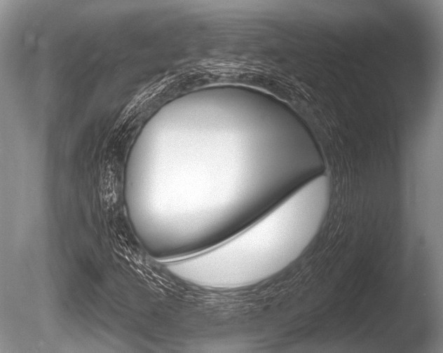 X0000086251253200703291026