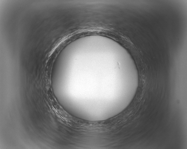 X0000086251256200703291026