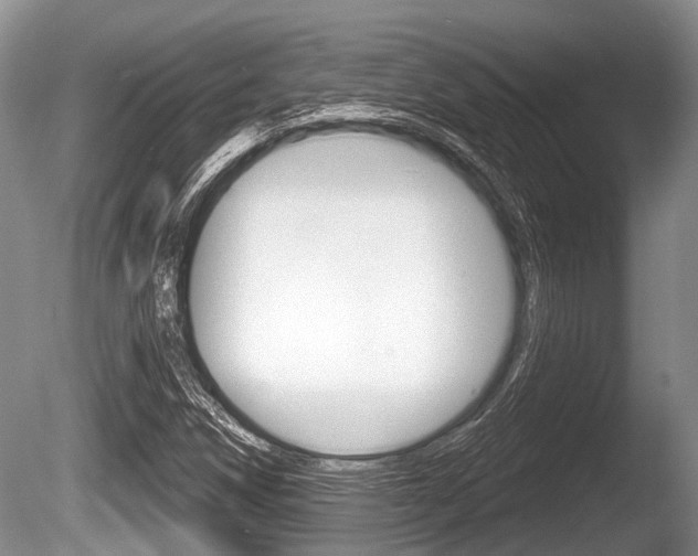 X0000086251258200703291026
