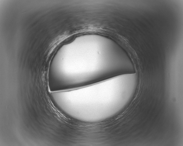 X0000086251260200703291026
