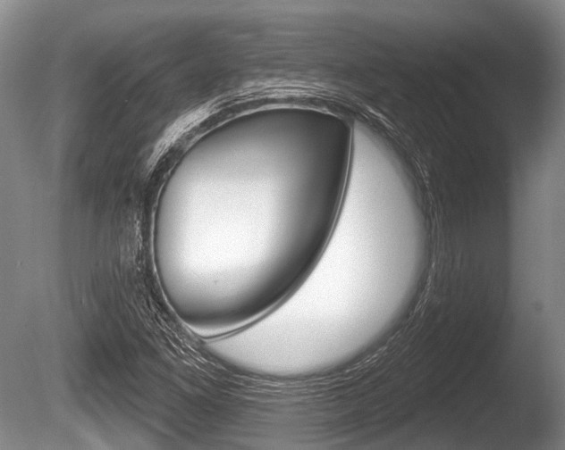X0000086251261200703291026