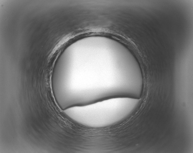 X0000086251263200703291026