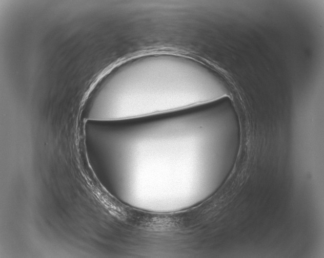 X0000086251264200703291026