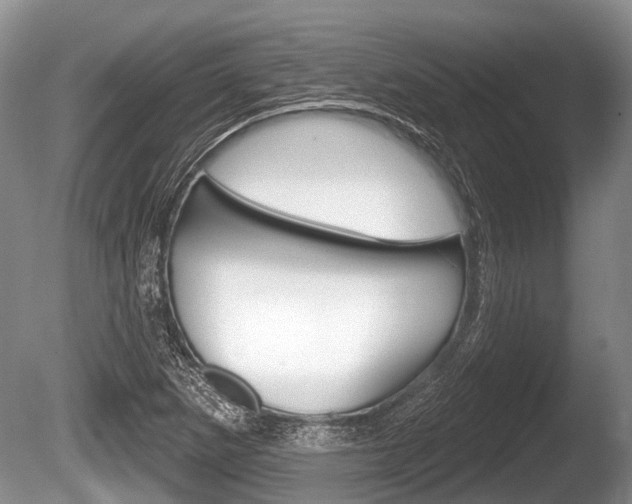 X0000086251265200703291026