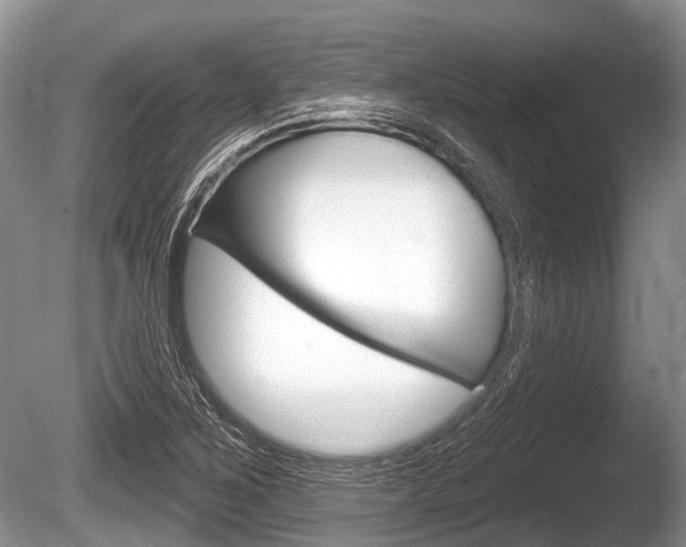 X0000086251267200703291026