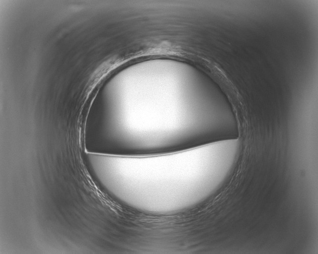 X0000086251268200703291026