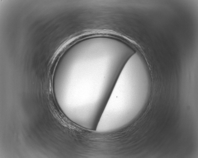 X0000086251271200703291026
