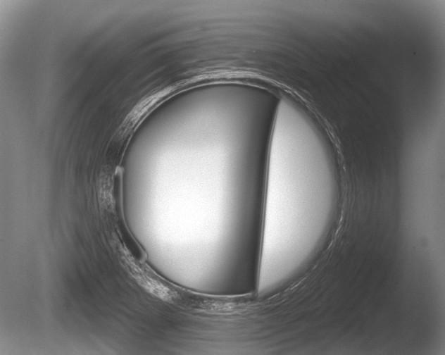 X0000086251273200703291026