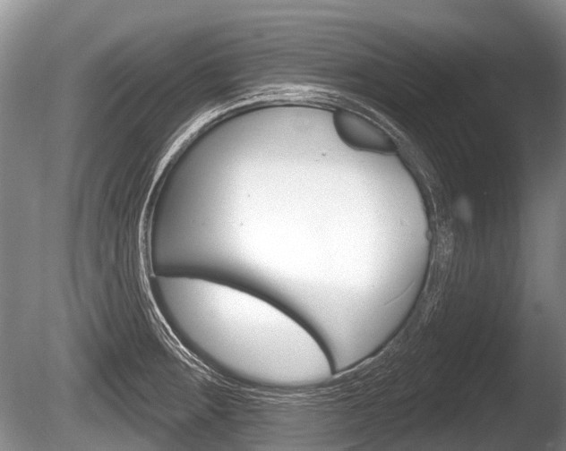 X0000086251283200703291025