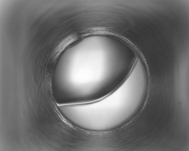 X0000086251289200703291025