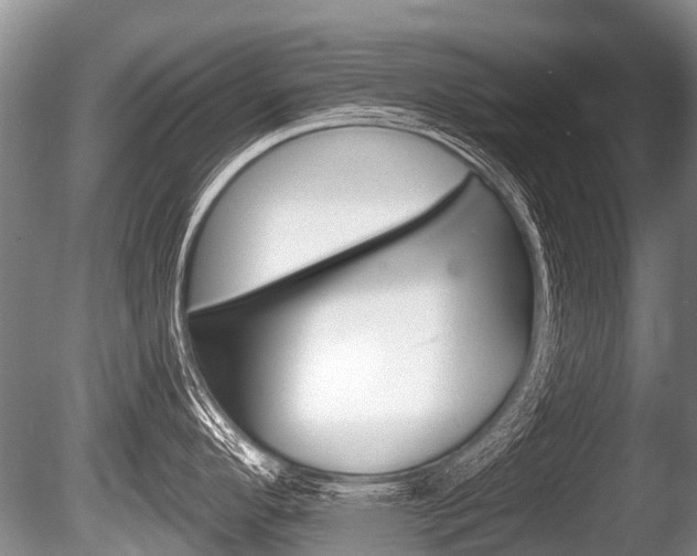X0000086251296200703291025