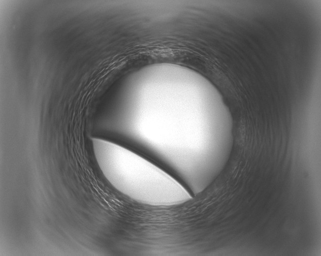 X0000086251297200703291024