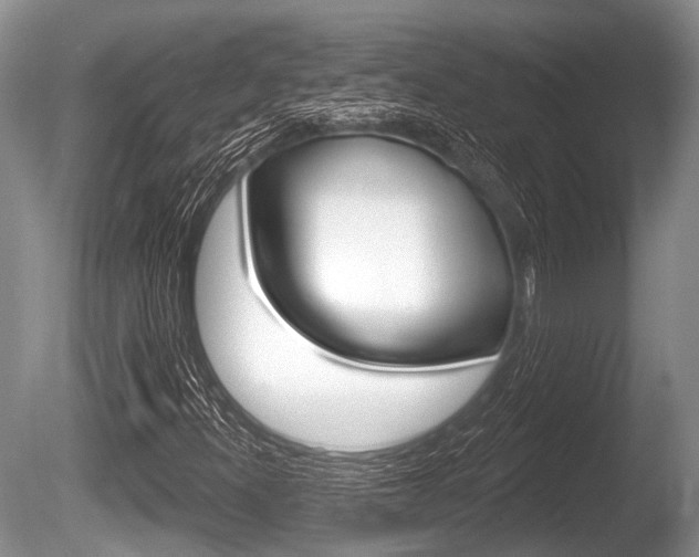 X0000086251300200703291024