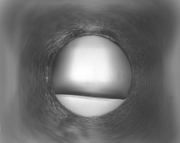 X0000086251301200703291024