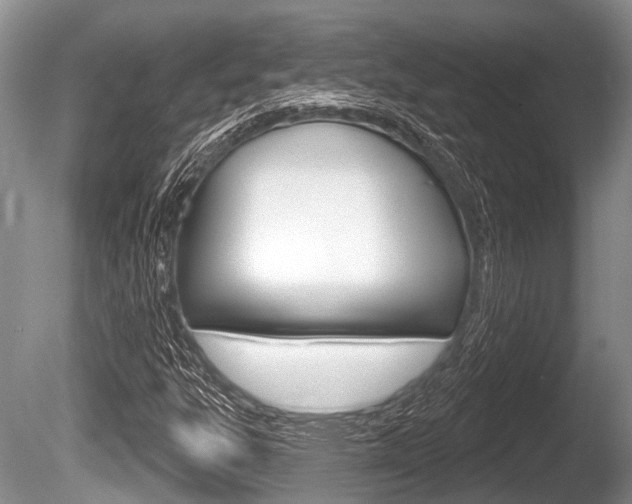 X0000086251303200703291024