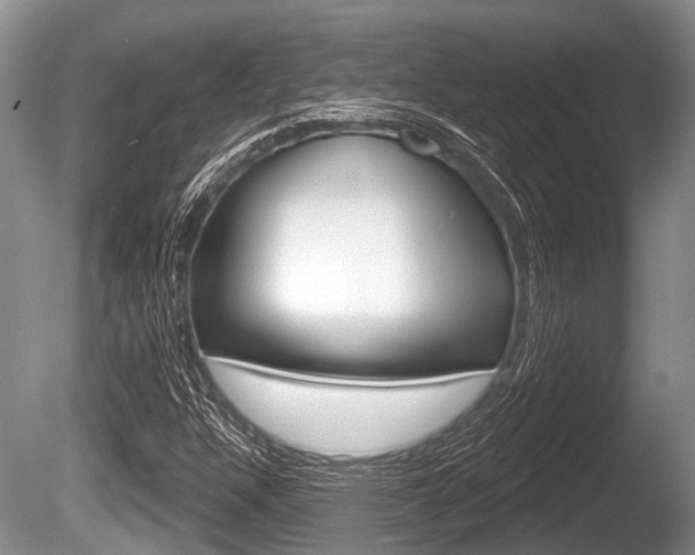 X0000086251304200703291024