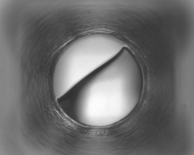X0000086251305200703291024