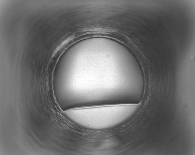 X0000086251307200703291024