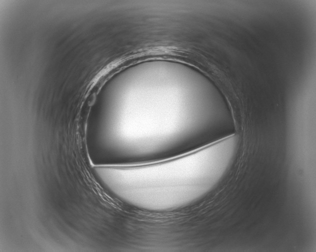 X0000086251308200703291024