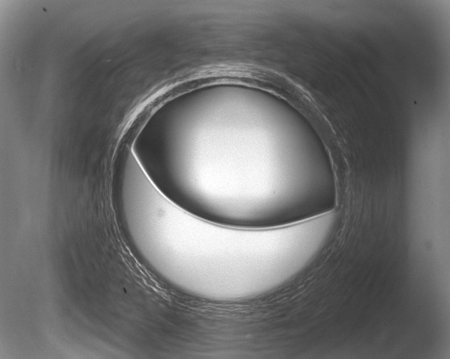 X0000086251312200703291025