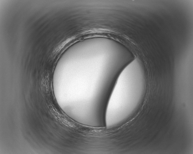 X0000086251313200703291025