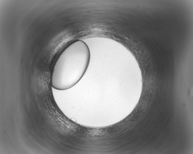 X0000086251314200703291025