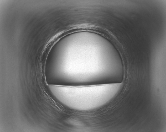 X0000086251315200703291025