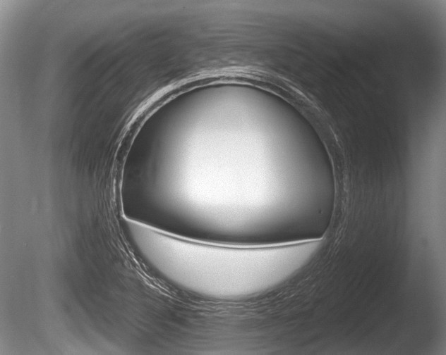 X0000086251316200703291025