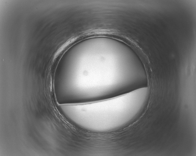 X0000086251317200703291025