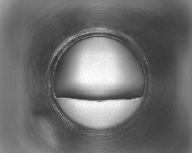 X0000086251318200703291025