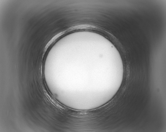 X0000086251322200703291025