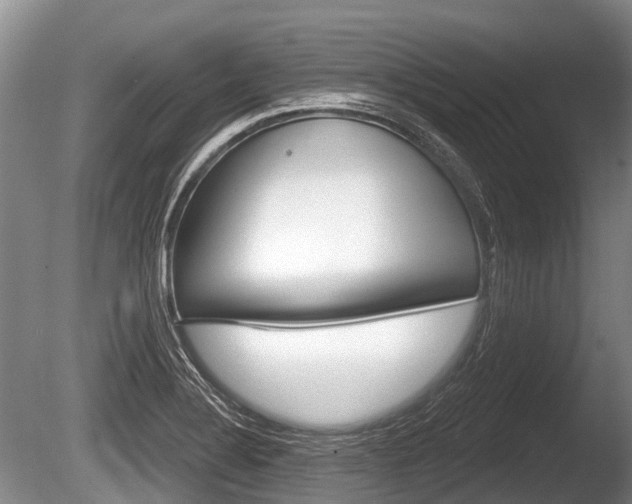X0000086251324200703291025