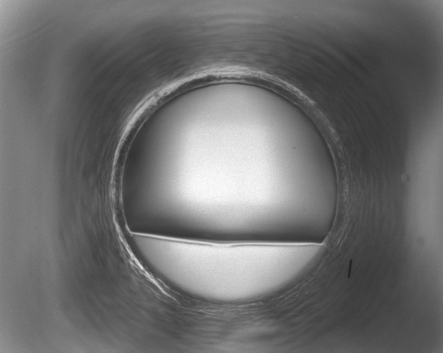 X0000086251327200703291025