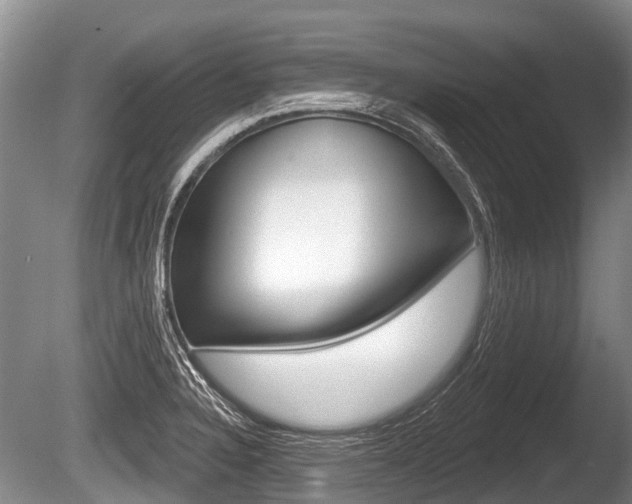 X0000086251328200703291025