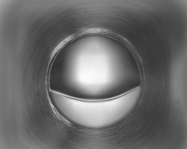 X0000086251330200703291025