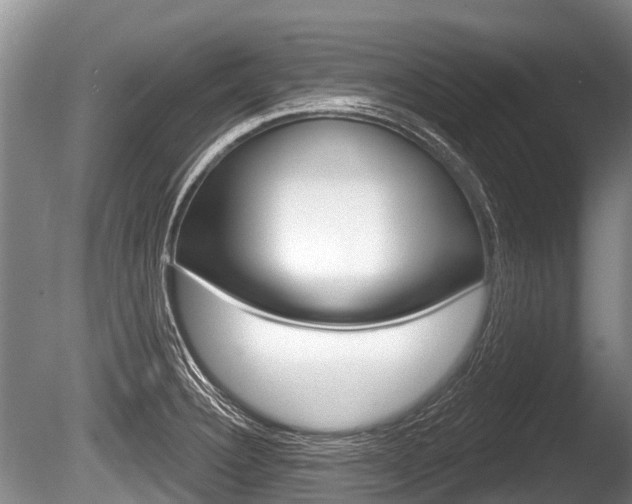 X0000086251332200703291025