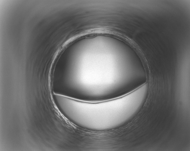 X0000086251334200703291025