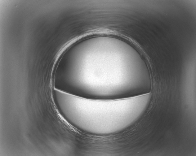 X0000086251335200703291025