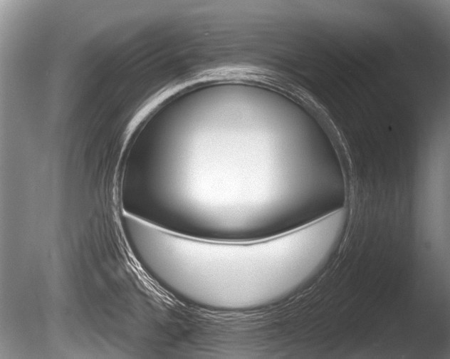 X0000086251336200703291025