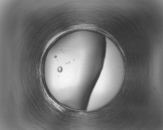 X0000086251339200703291025