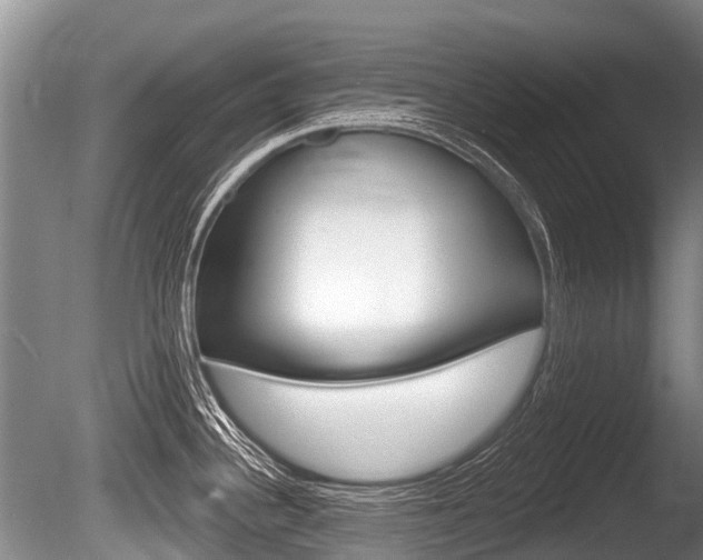 X0000086251340200703291025