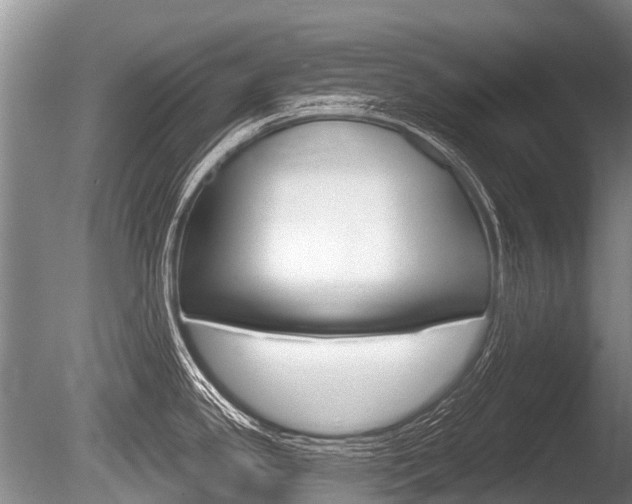 X0000086251341200703291025
