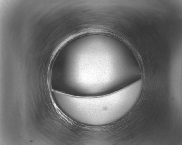 X0000086251342200703291025